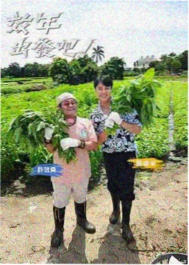 山野民宿 慢综艺免费观看